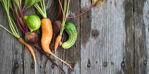 Funny-looking carrots, beetroots, and cucumber, that are all healthy