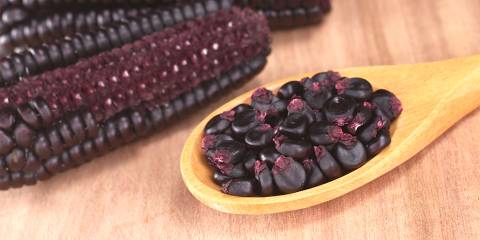 Grains of Peruvian purple corn