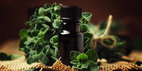 5 Reasons You Need Oregano a bottle of oregano oil extract surrounded by the fresh herb