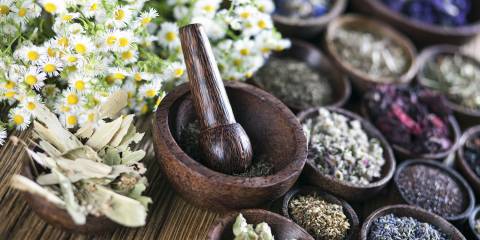 The Power of Traditional Chinese Medicine Small wooden bowls filled with dried Chinese herbal remedies.