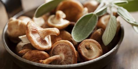 Bowl of mushrooms with herbs. 