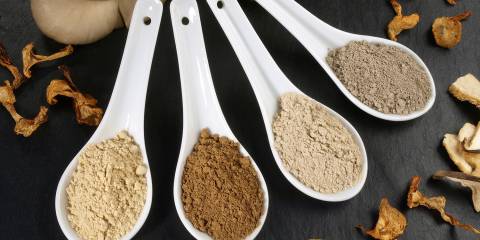 scoops of different powdered mushrooms