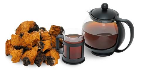chaga mushrooms made into a tea
