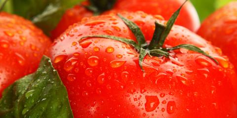 maybe the best tomato I've ever seen, fresh from the vine