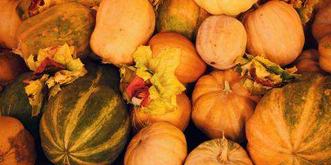 squash