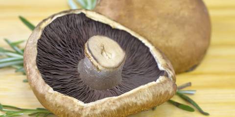 Plump portabello mushroom caps