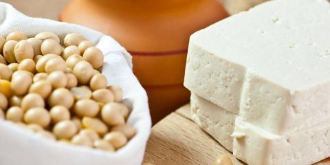 Make Your Own Tofu soybeans, nigiri flakes, and blocks of homemade tofu
