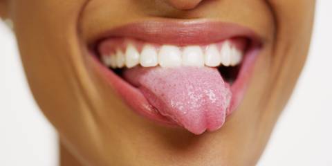 Taste Buds