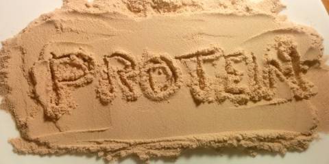 protein powder
