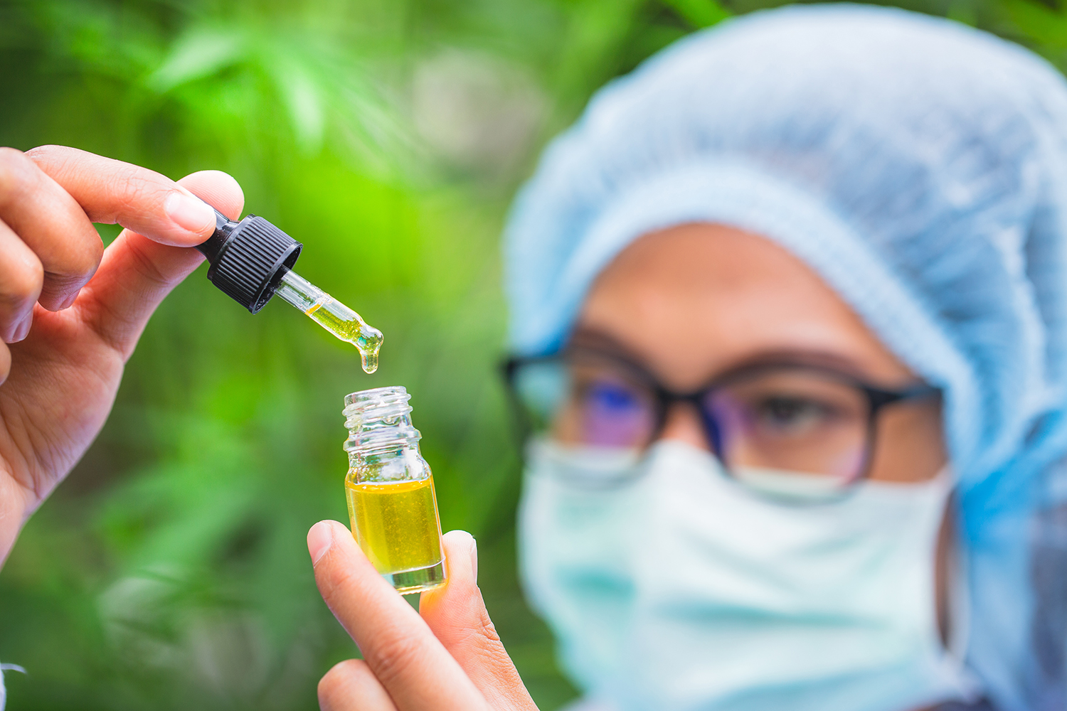 a scientist measuring oil in a greenhouse full of cannabis or hemp