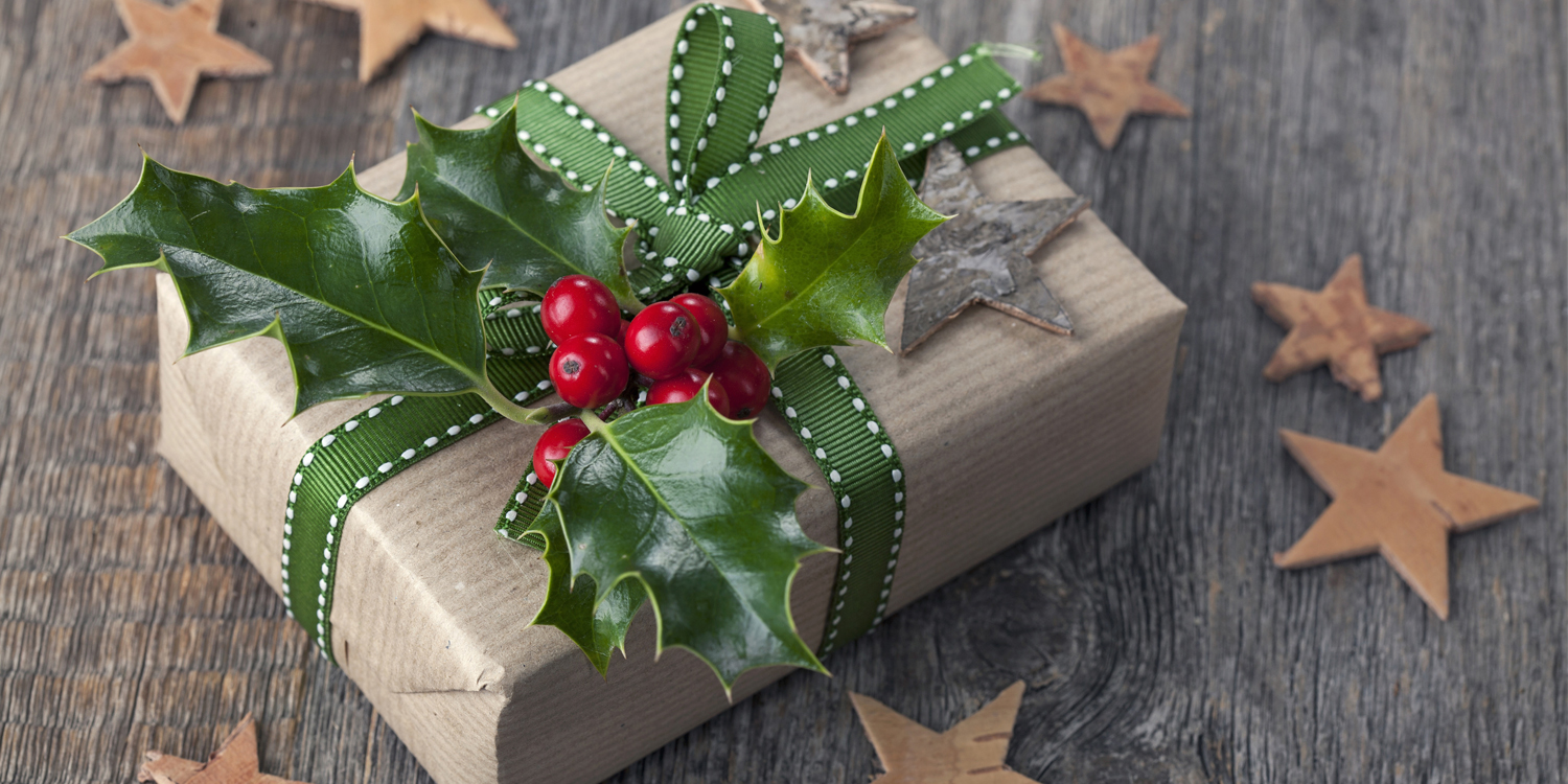 Holiday Gift