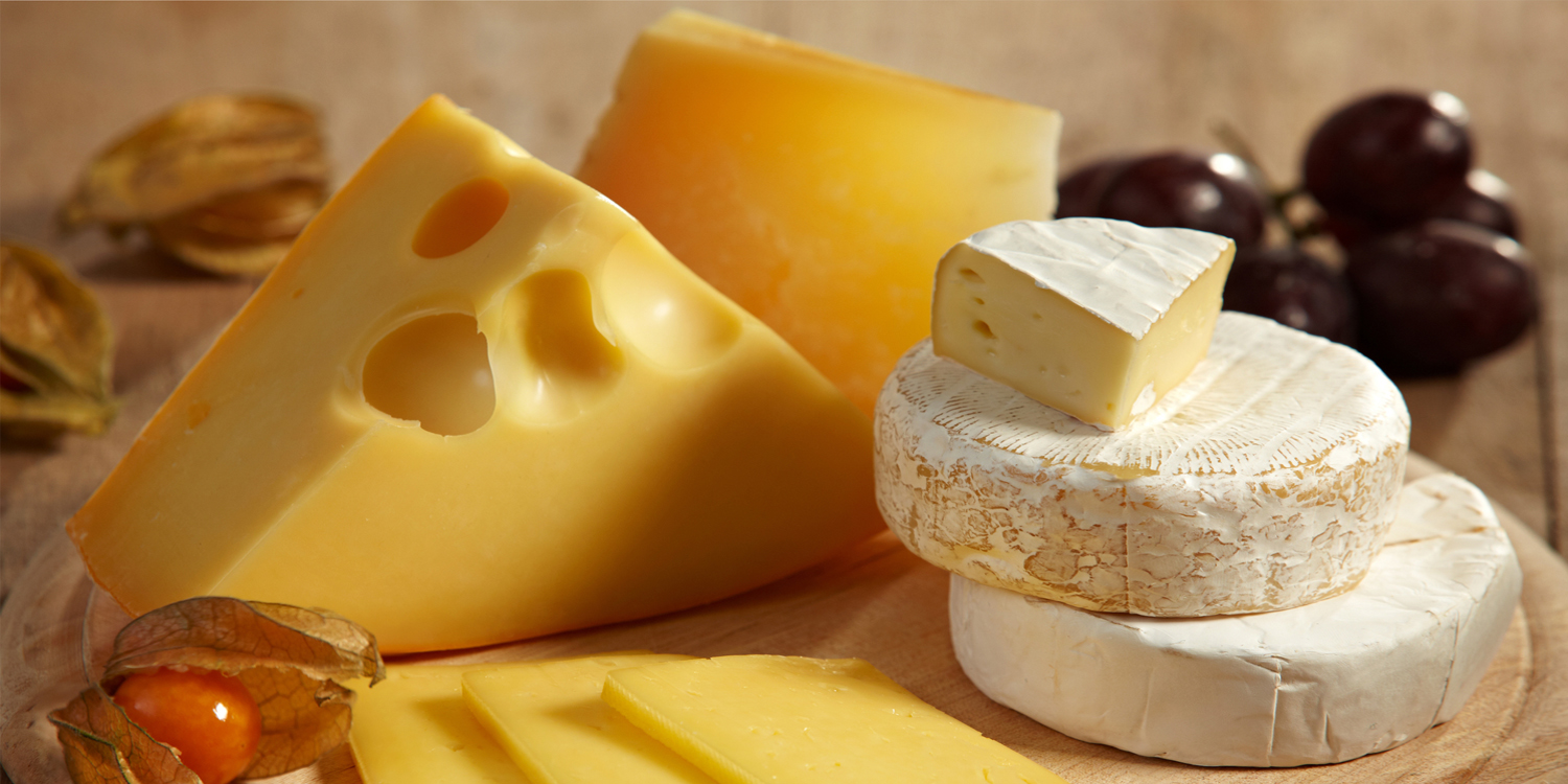 Which Cheese Are You? Cheese